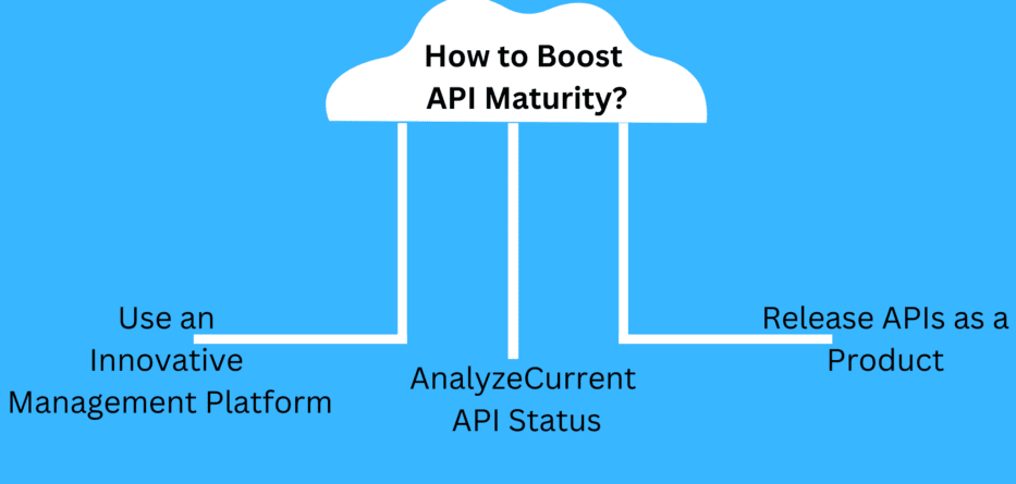 API Maturity