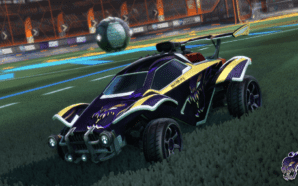 Significant Factors Worth Considering Before Trading in Rocket Skin League…